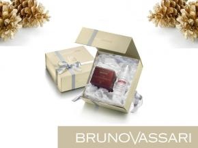 Bruno Vassari Navidad